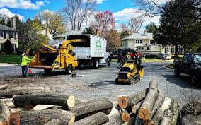 Best Commercial Tree Services  in Biggs, CA